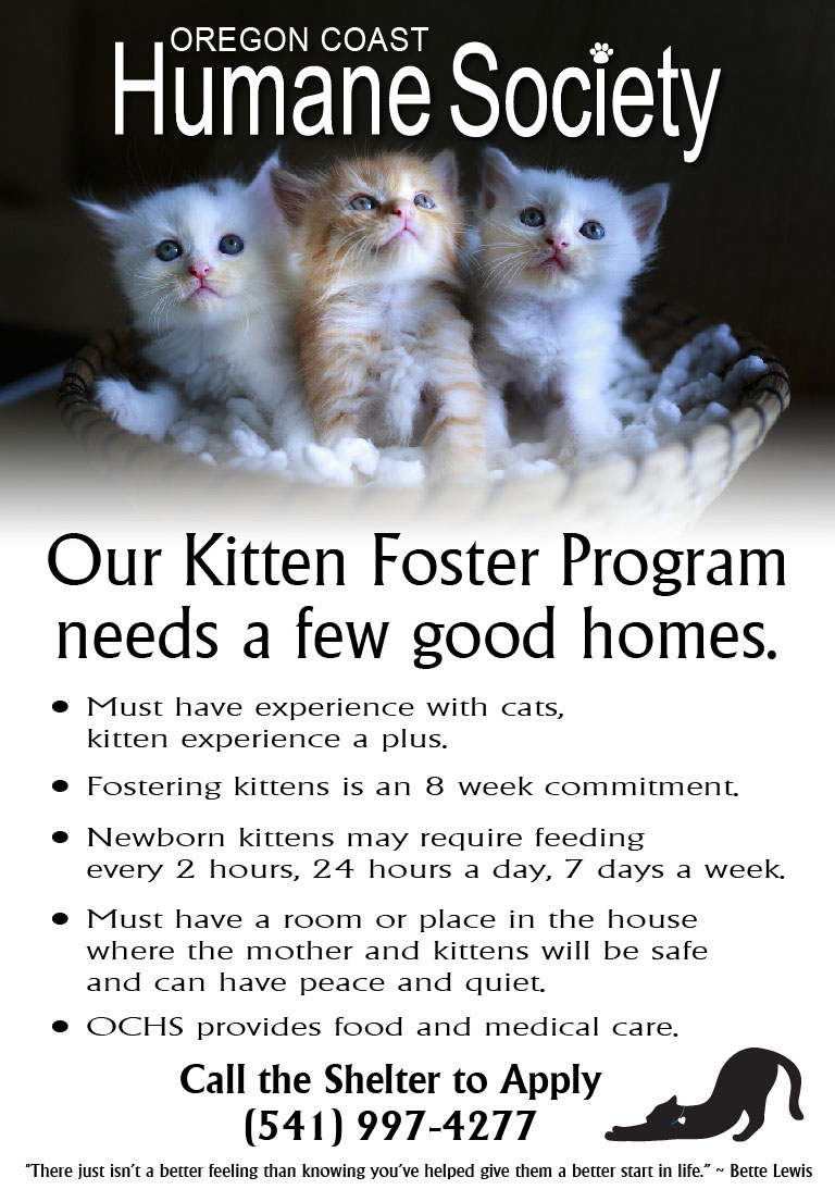 Become a Foster Family