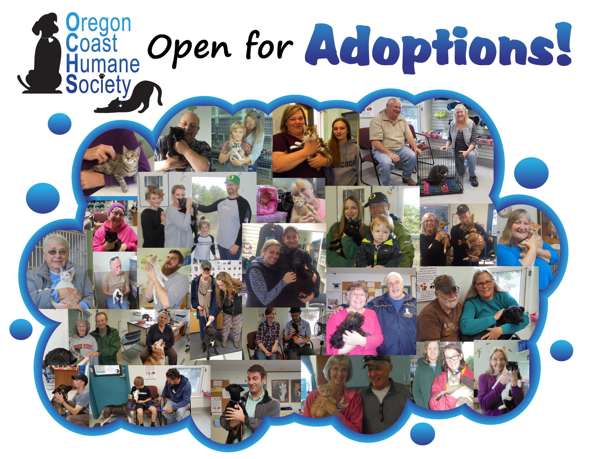 Open for Adoptions!